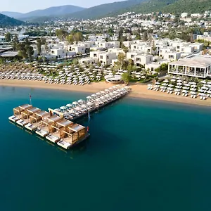 Voyage Torba